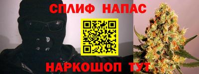 дмт Гай