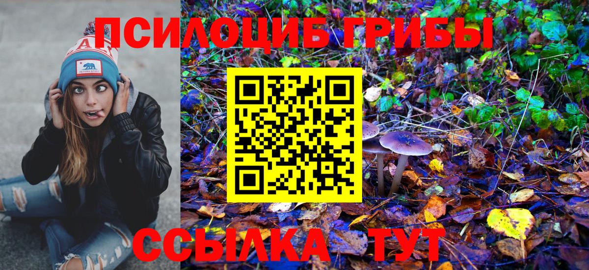 Галлюциногенные грибы Cubensis  Вход с VPN  Псилоцибиновые грибы Cubensis  Пыть-Ях 